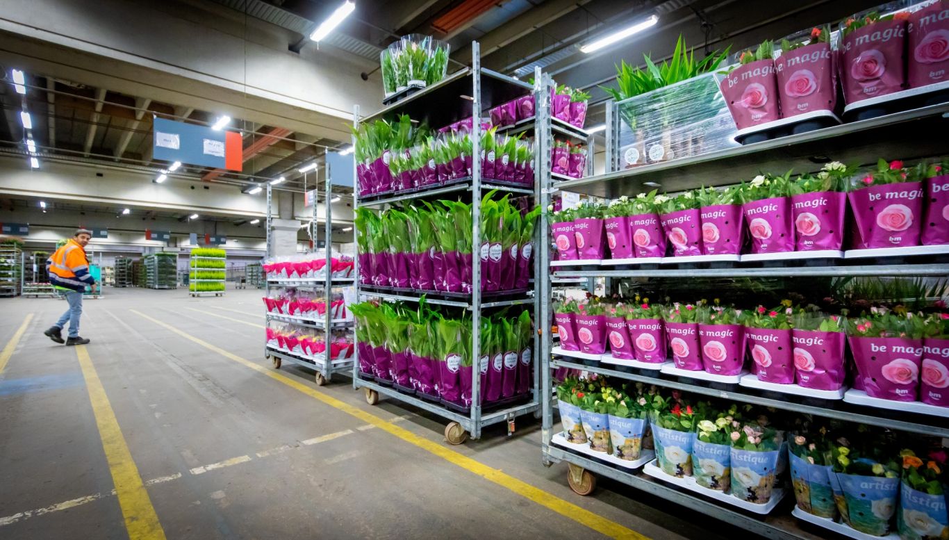 Nickies Blomster