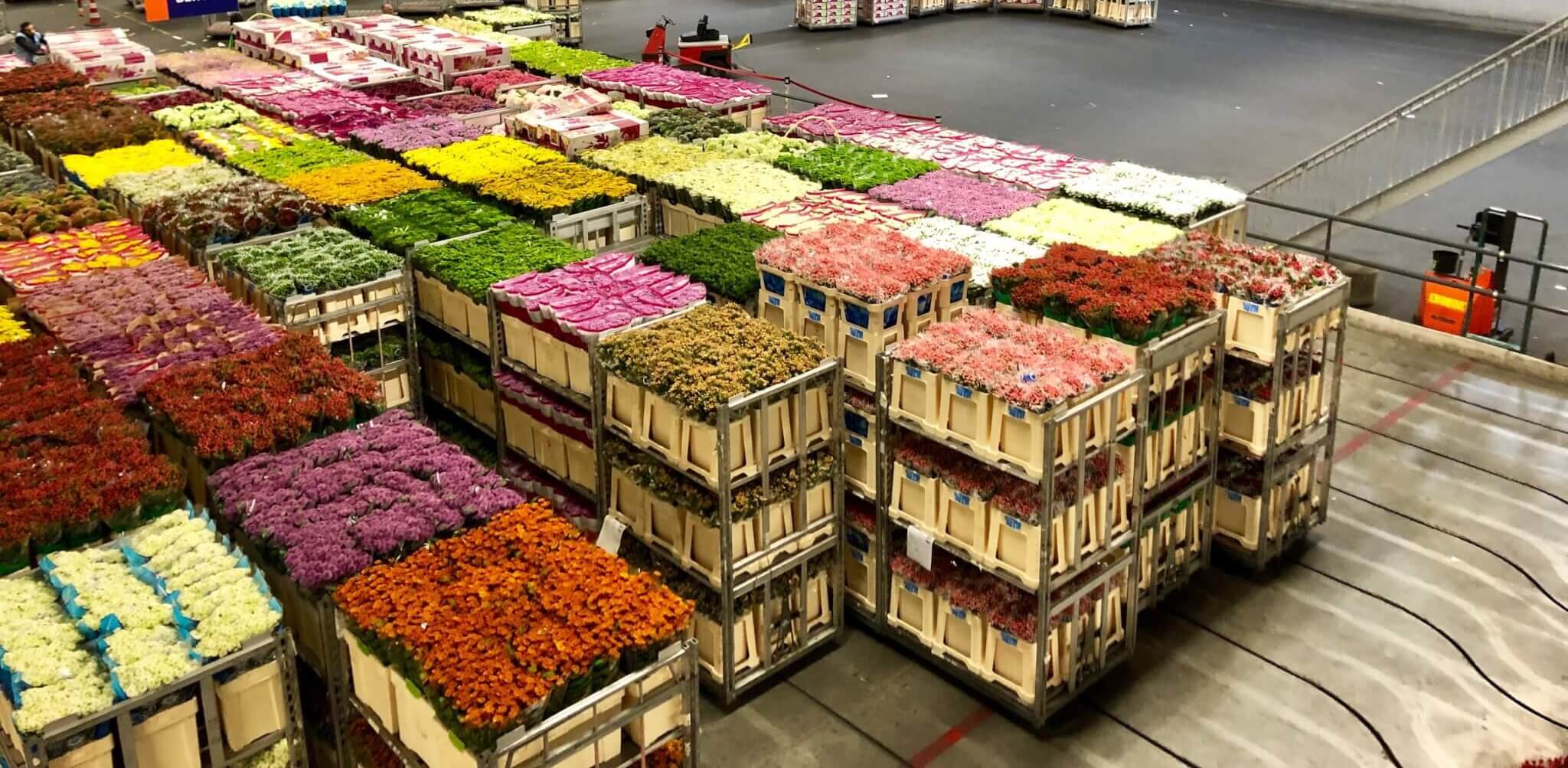 Nickies Blomster