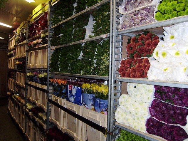 Nickies Blomster