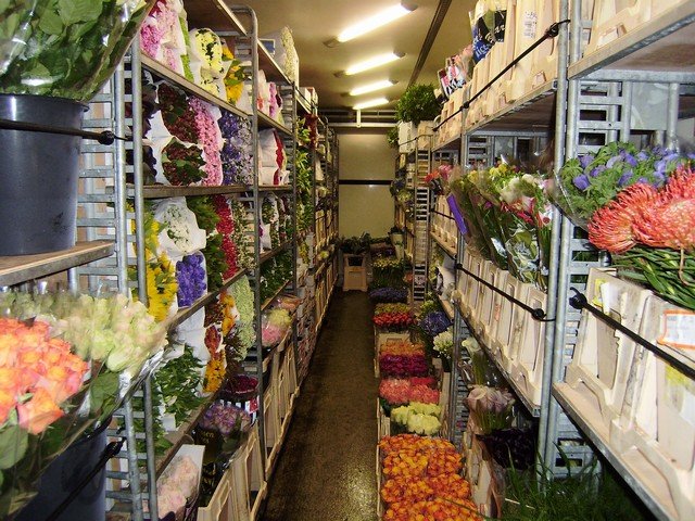 Nickies Blomster
