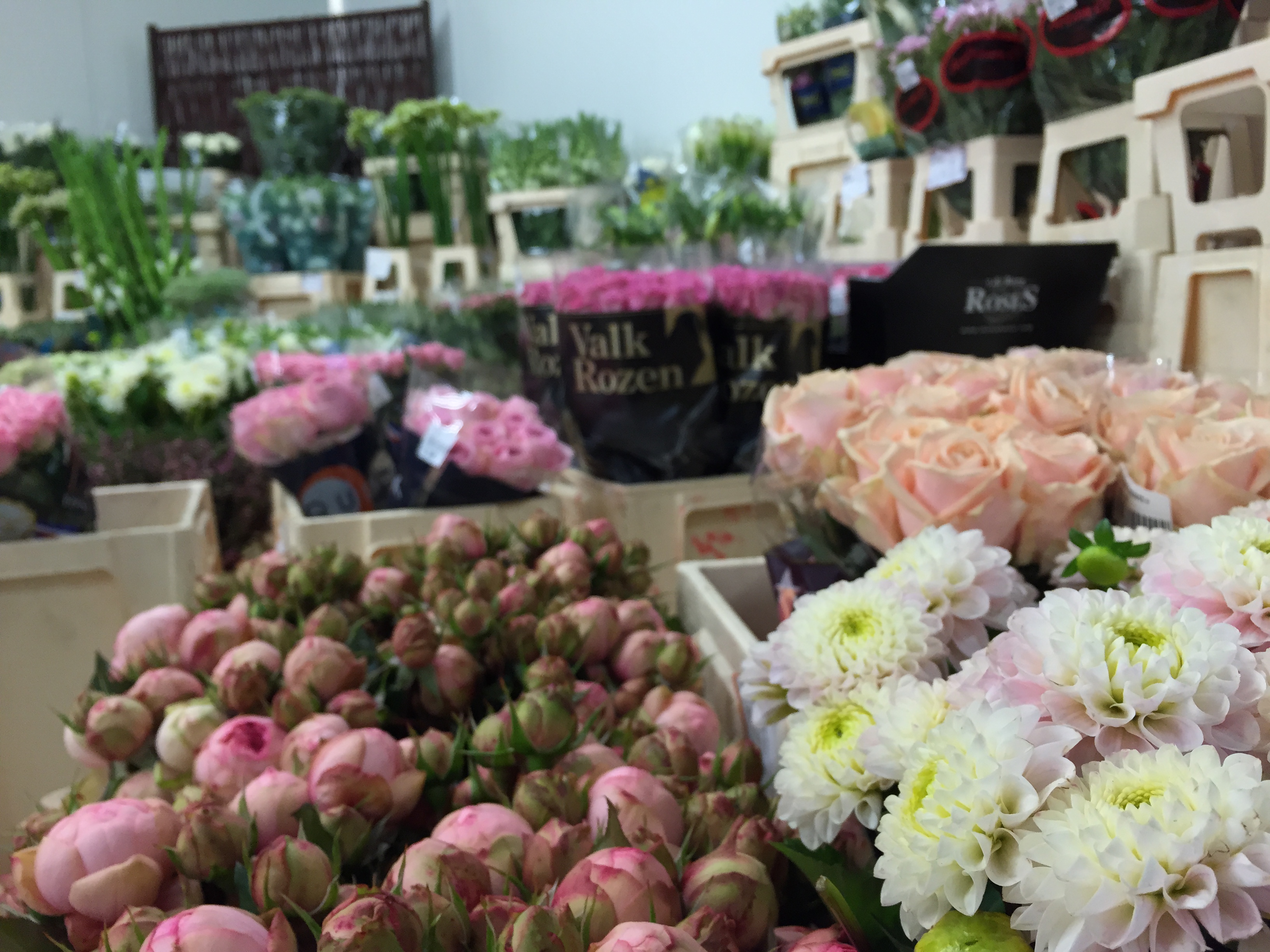 Nickies Blomster
