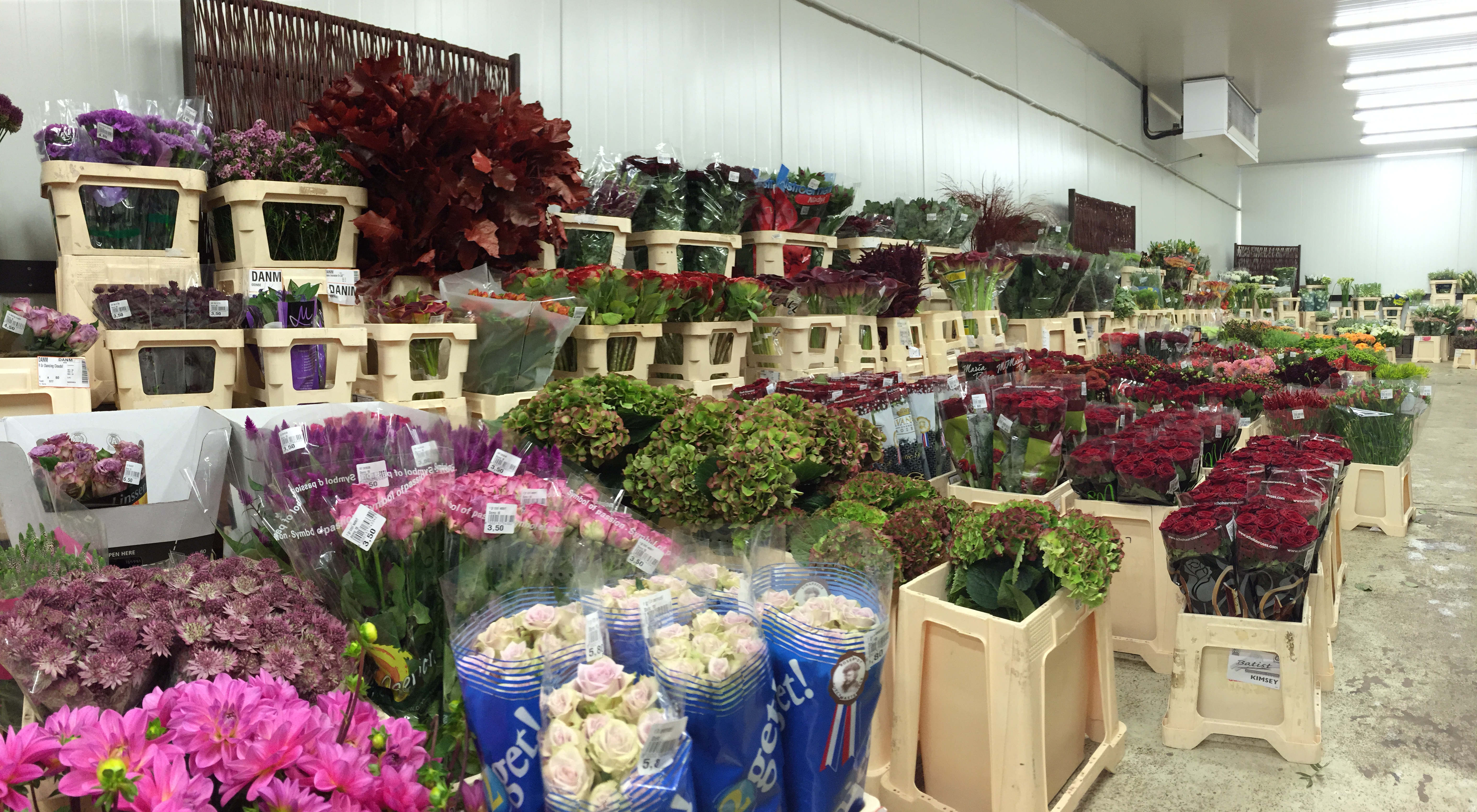 Nickies Blomster