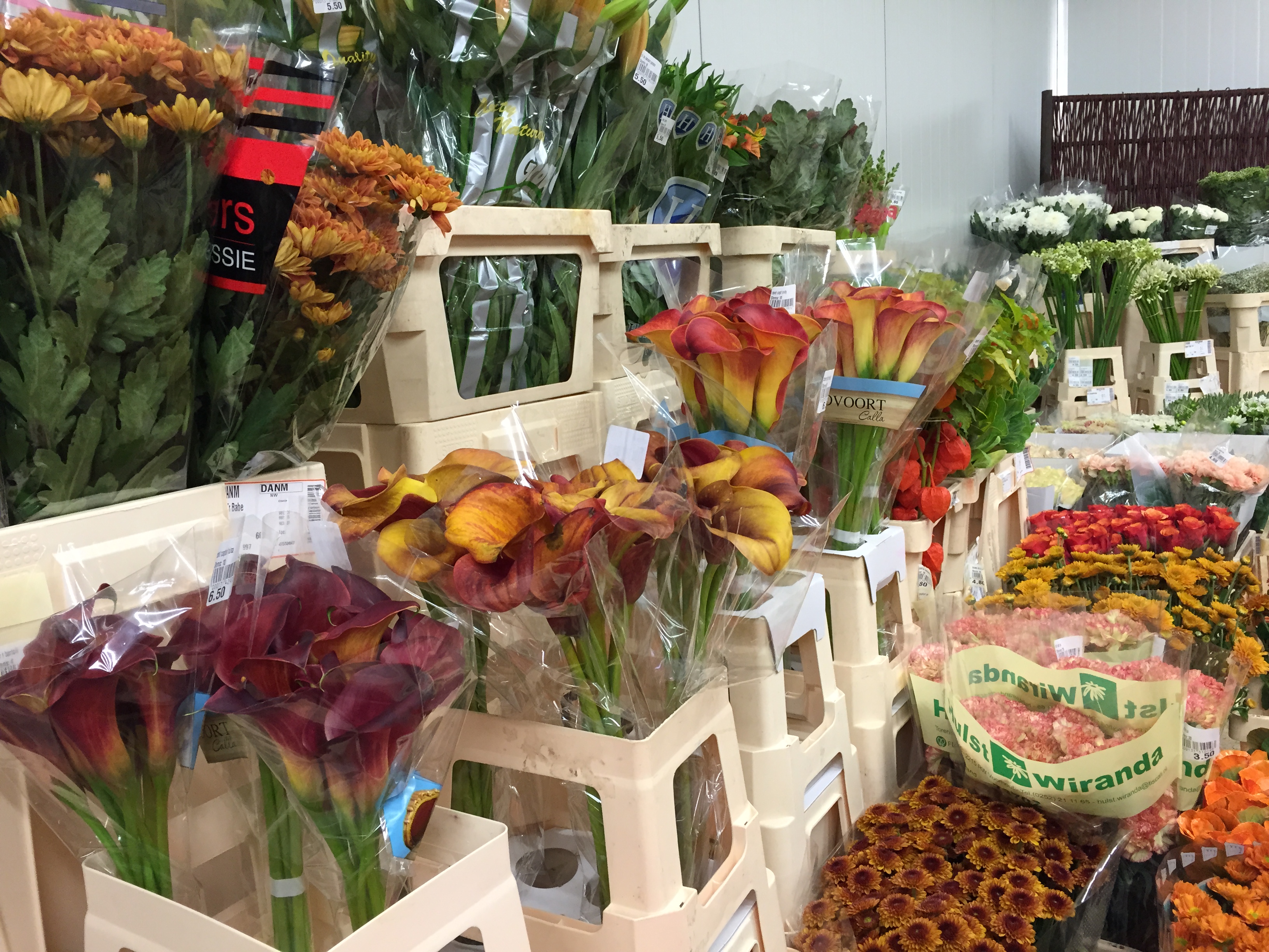 Nickies Blomster