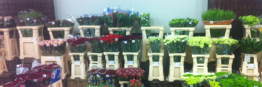 Nickies Blomster