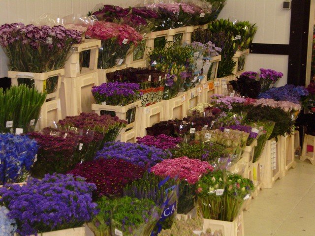 Nickies Blomster