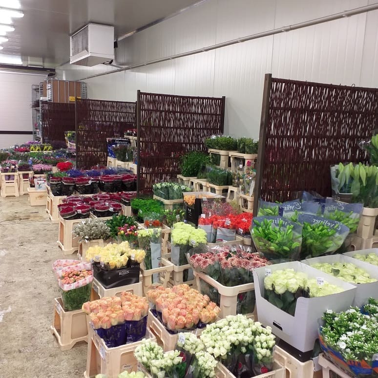 Nickies Blomster historie